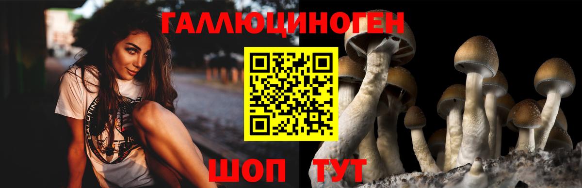 Псилоцибиновые грибы прущие грибы Старый Оскол